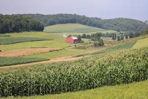 Dancing Star Farms